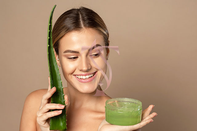 Kegunaan Aloe Vera Gel untuk Kehidupan Sehari-hari